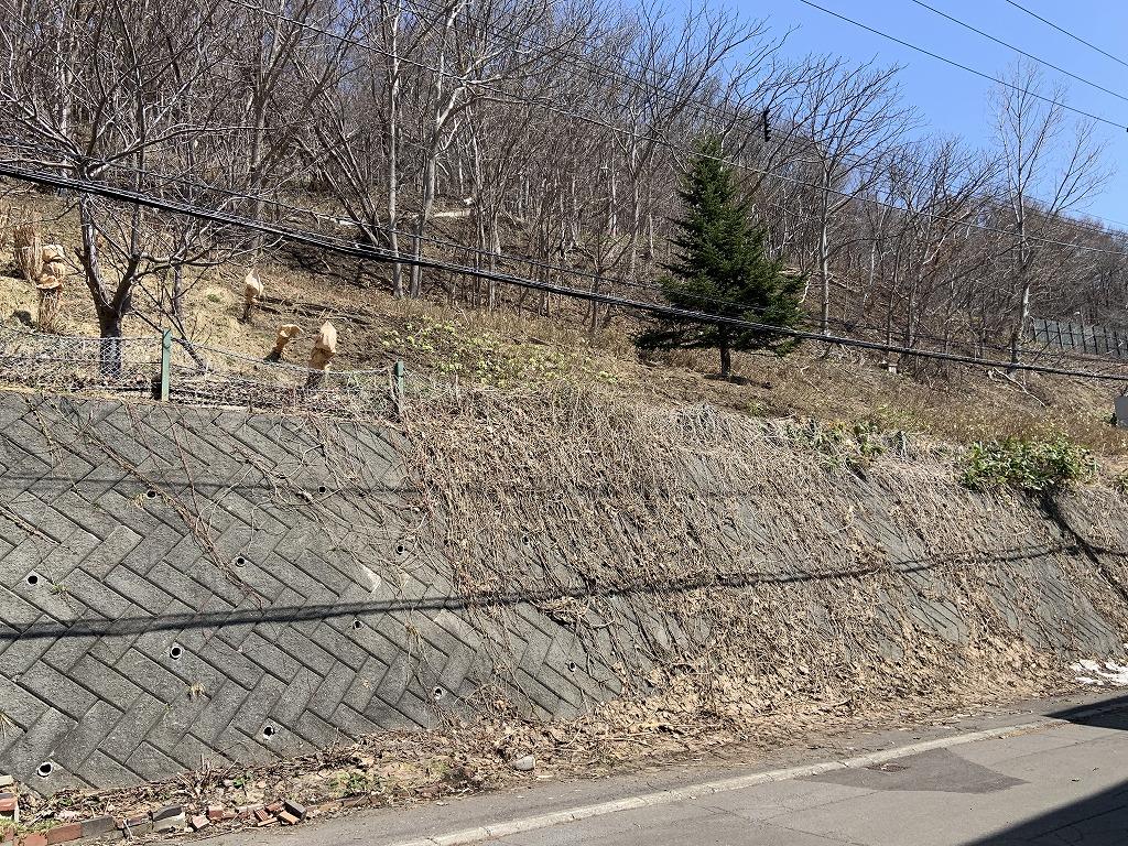 川沿1-2 土地