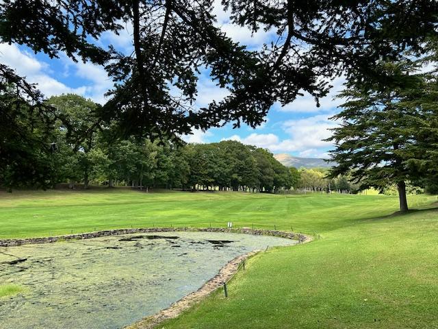 赤井川売土地　2筆　土地(登記)：498㎡＋499㎡　