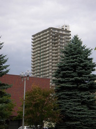 P9170478.JPGのサムネール画像のサムネール画像