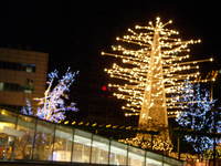 PB290518.JPGのサムネール画像