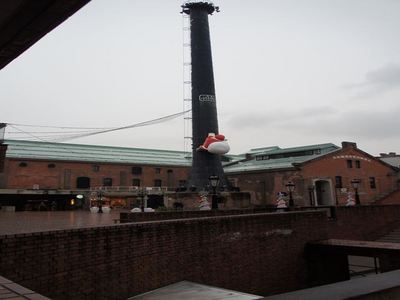 DSC00470_R.JPGのサムネール画像