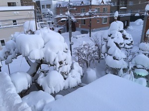 雪会社.JPG